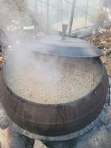 신동익님의 자유주제·자유게시판 작성글 사진