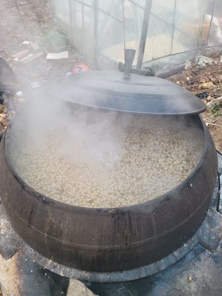 신동익님의 자유주제 · 자유게시판 작성글 사진