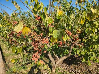 이형규님의 작성글 사진