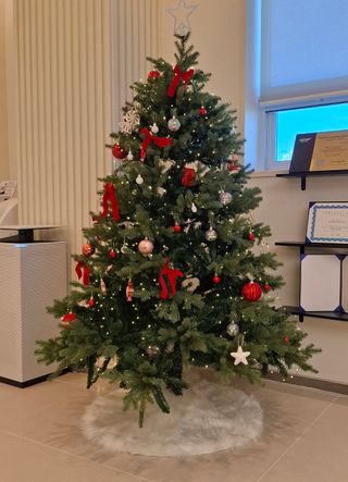 철남 김희곤님의 자유주제 · 자유게시판 작성글 사진