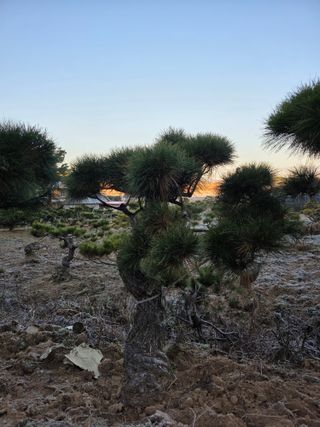 작은소나무님의 자유주제 · 사진전 작성글 사진