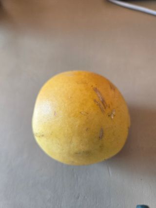 천호산인님의 자유주제 · 자유게시판 작성글 사진