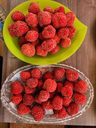 이형규님의 작성글 사진