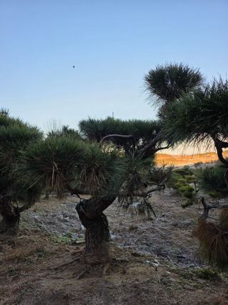 작은소나무님의 자유주제 · 사진전 작성글 사진