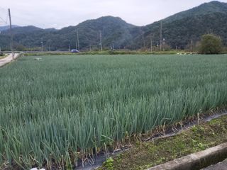 이용근님의 자유주제 · 자유게시판 작성글 사진