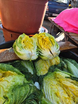 성실한 농부님의 자유주제 · 자유게시판 작성글 사진