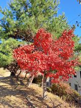 팜모닝 · 게시글 이미지