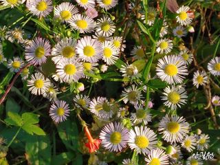 안길원님의 자유주제·자유게시판 작성글 사진