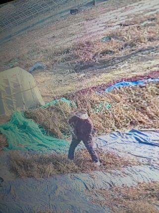 오화순님의 자유주제 · 자유게시판 작성글 사진