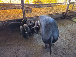 박번삼님의 자유주제 · 자유게시판 작성글 사진