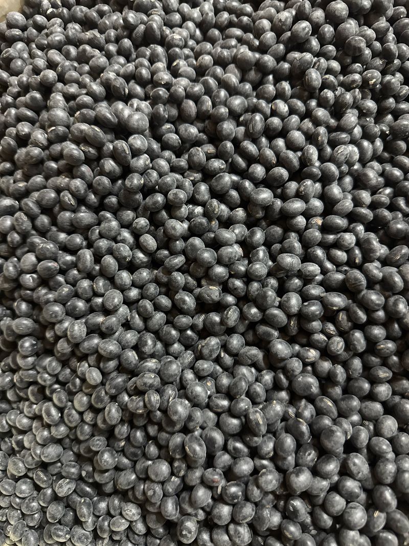 중근님님의 장터 판매 상품 [새바람 서리태(속청) 10kg] 첨부 사진