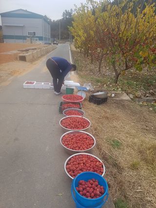 이형규님의 작성글 사진