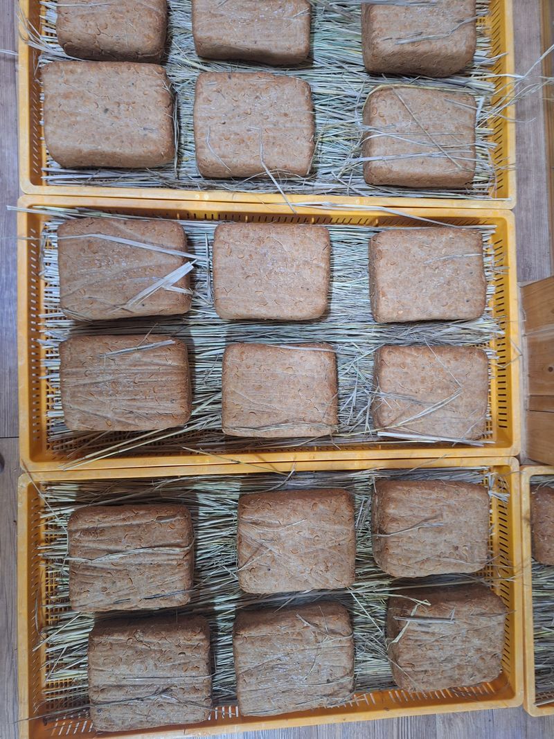 장터 상품 [메주 주문예약 받습니다.] 썸네일