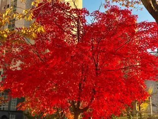 안길원님의 자유주제 · 자유게시판 작성글 사진