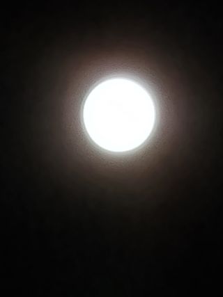 논산푸른팜님의 자유주제 · 자유게시판 작성글 사진