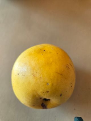 천호산인님의 자유주제 · 자유게시판 작성글 사진