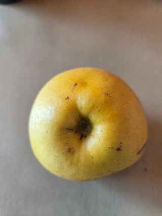 천호산인님의 자유주제 · 자유게시판 작성글 사진