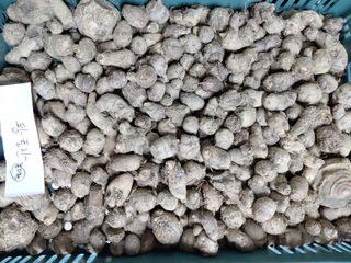 정보센터님의 작성글 사진