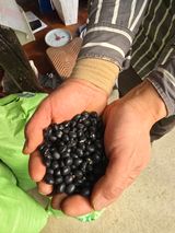 팜모닝 자유주제·자유게시판 게시글 이미지