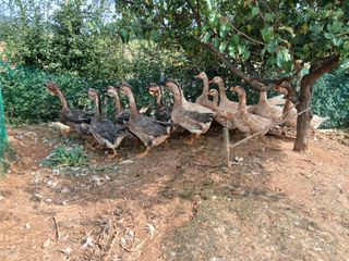 상민님의 자유주제 · 자유게시판 작성글 사진