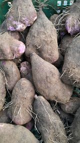 팜모닝 · 게시글 이미지