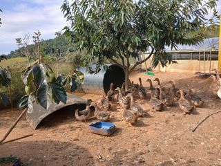 상민님의 자유주제 · 자유게시판 작성글 사진