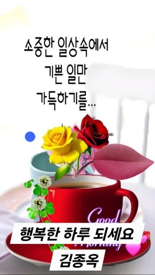 김종옥님의 작성글 사진