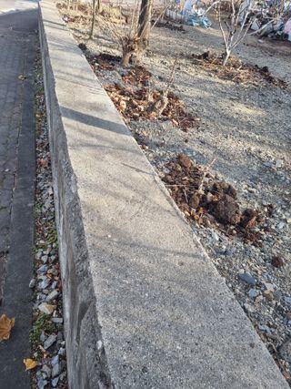 김용대님의 자유주제 · 자유게시판 작성글 사진