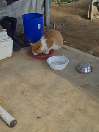 허굴산농장님의 자유주제 · 자유게시판 작성글 사진