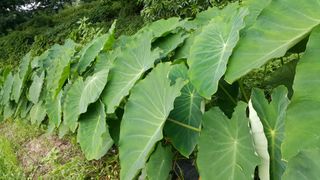 정보센터님의 작성글 사진