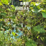 팜모닝 자유주제·자유게시판 게시글 이미지