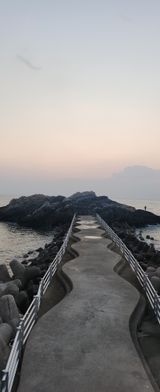 팜모닝 자유주제·자유게시판 게시글 이미지