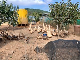 상민님의 자유주제 · 자유게시판 작성글 사진