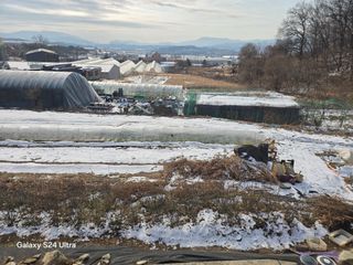 소병찬님의 자유주제 · 자유게시판 작성글 사진