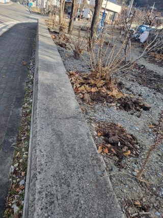 김용대님의 자유주제 · 자유게시판 작성글 사진