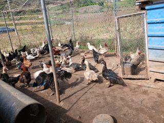 상민님의 자유주제 · 자유게시판 작성글 사진