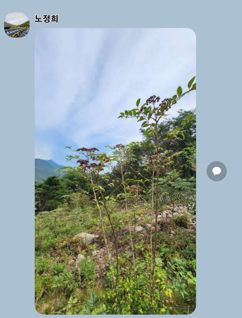 장터 상품 [산초기름] 썸네일