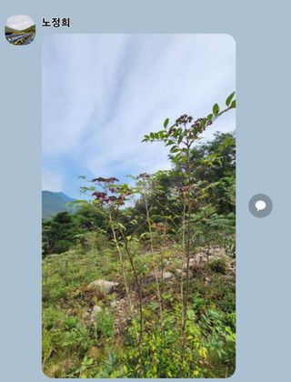 서성환님의 작성글 사진