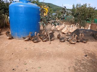 상민님의 자유주제 · 자유게시판 작성글 사진