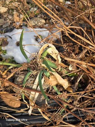 소병찬님의 자유주제 · 자유게시판 작성글 사진