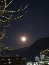 팜모닝 자유주제·자유게시판 게시글 이미지