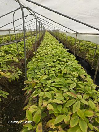 방아깨비농사님의 작성글 사진