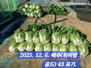 박성민님의 자유주제 · 자유게시판 작성글 사진