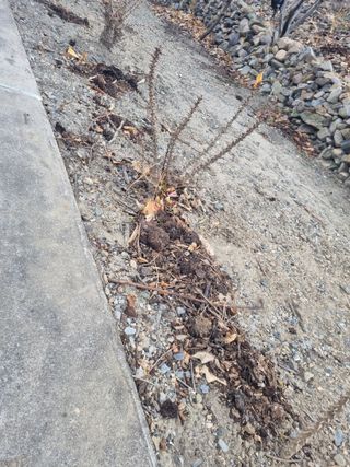 김용대님의 자유주제 · 자유게시판 작성글 사진