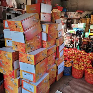 서귀포달코롬감귤농원님의 귤·수확 작성글 사진