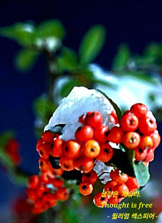 젠틀맨님의 자유주제 · 자유게시판 작성글 사진