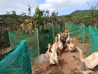 상민님의 자유주제 · 자유게시판 작성글 사진
