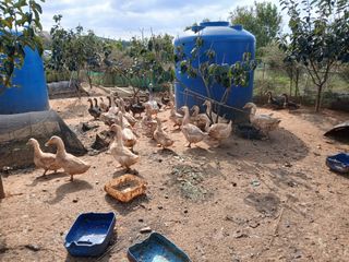 상민님의 자유주제 · 자유게시판 작성글 사진