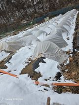 팜모닝 자유주제·자유게시판 게시글 이미지