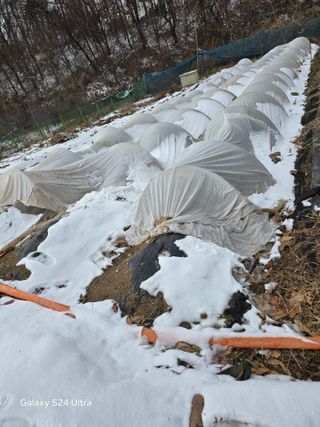 소병찬님의 자유주제 · 자유게시판 작성글 사진